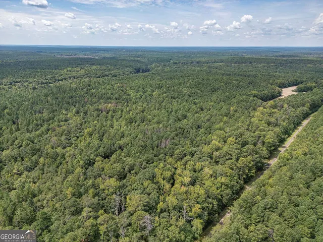 a view of a street with red trees
