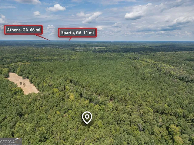 a view of a field of grass and trees