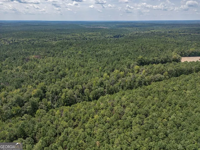 a view of a field with an ocean and trees