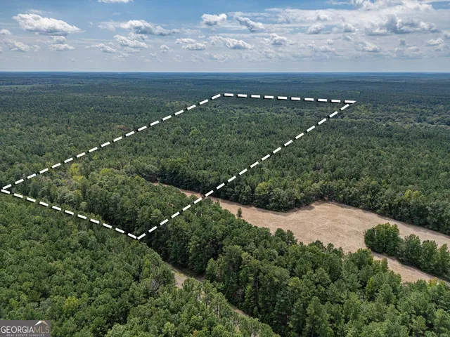 a view of a field with an ocean