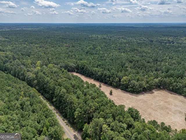 a view of a yard with a plants and trees