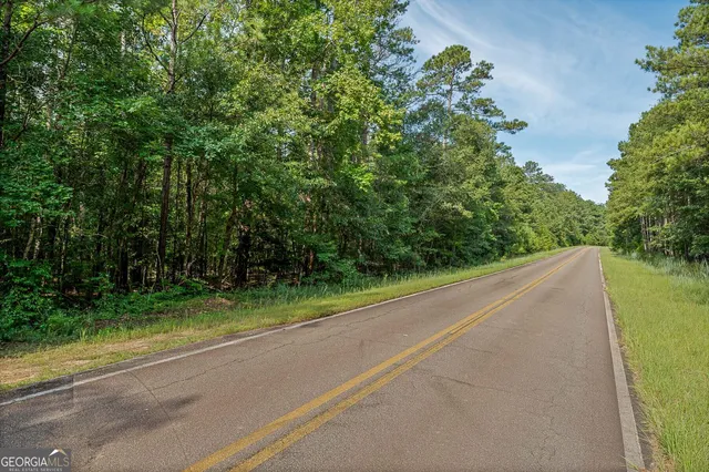 a view of a plant in a garden
