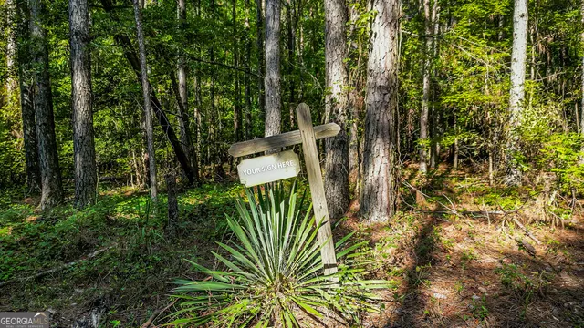 a view of outdoor space and yard