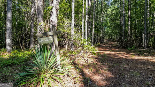 $465,637 | 1-balerma Churc Balerma Church Road, Sparta, GA 31087