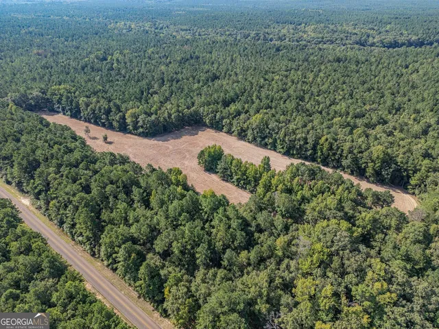 a view of a field with trees
