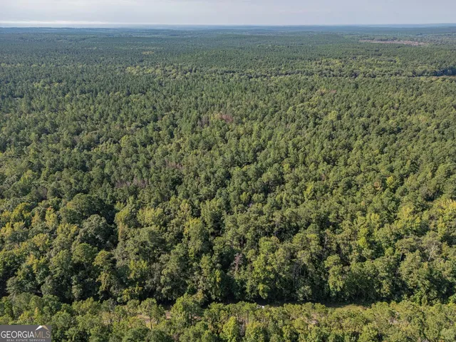 a view of a field with an ocean view