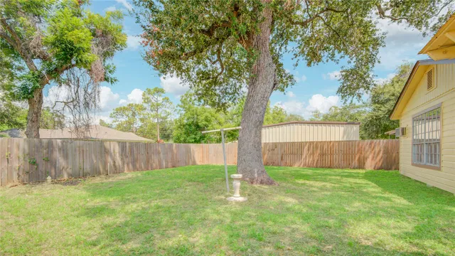 a view of backyard with a trees