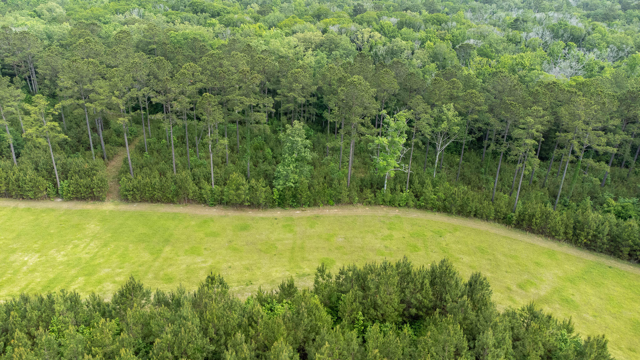 1034 Tuten Road Jacksonboro, SC 29452 - Photo 10 of 77 Hayne HallSC Land for Sale-58