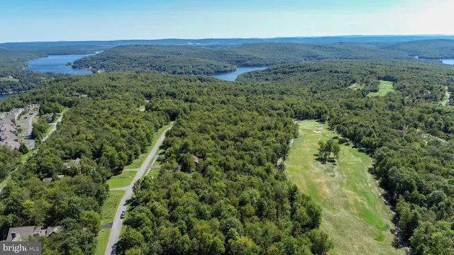 an aerial view of a houses with a lush green hillside