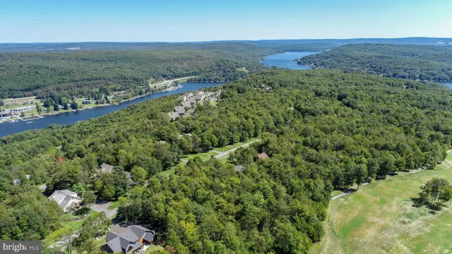 an aerial view of residential houses with outdoor space and trees
