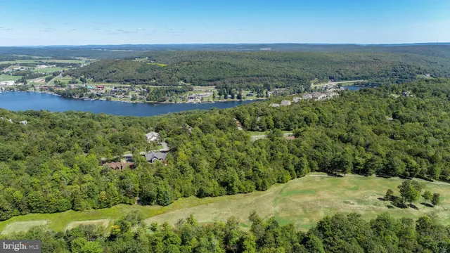 an aerial view of residential houses with outdoor space and trees