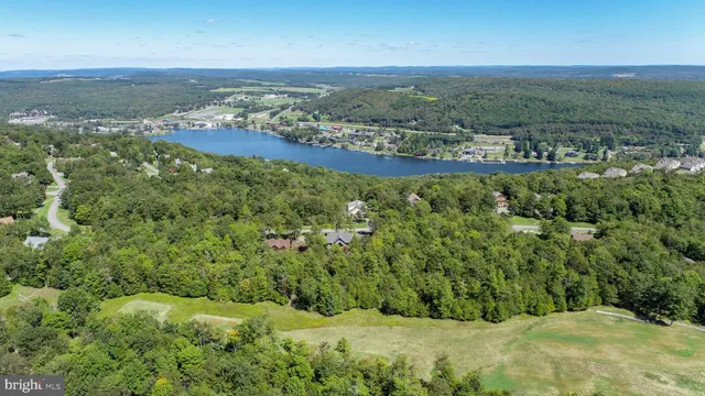 an aerial view of residential houses with outdoor space and trees