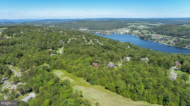 a view of a city with lush green forest
