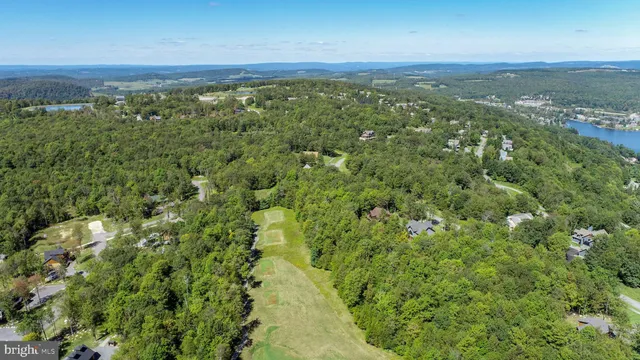 a view of a city with lush green forest