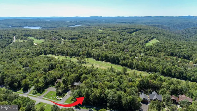 a view of a lush green field with lots of bushes