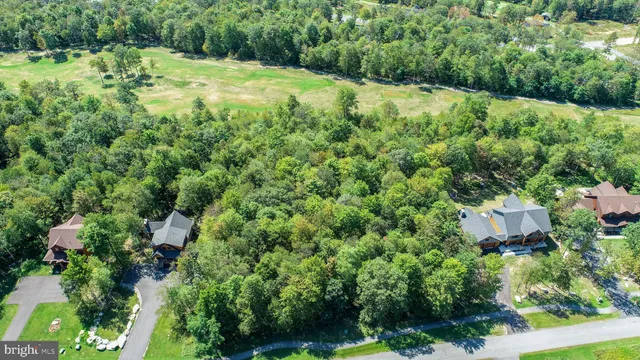 an aerial view of a lush green valley