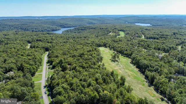 an aerial view of a houses with a lush green hillside