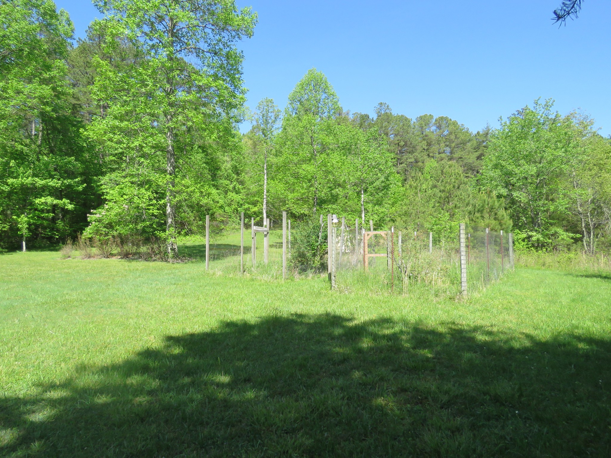 751 Yonside Drive Sparta, TN 38583 - Photo 23 of 36 a view of a grassy field with trees in the background