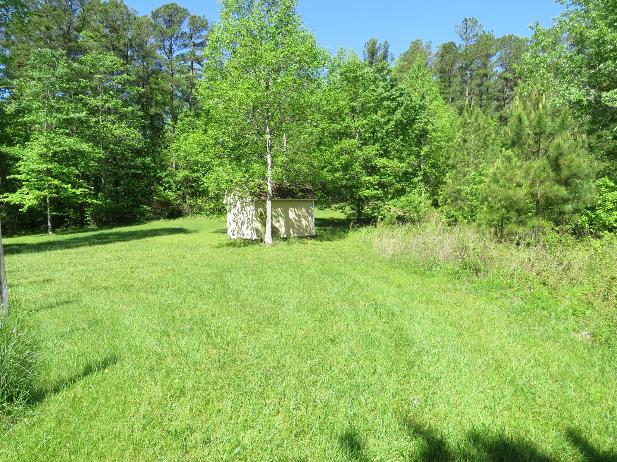 751 Yonside Drive Sparta, TN 38583 - Photo 24 of 36 a view of a park with a tree in the background