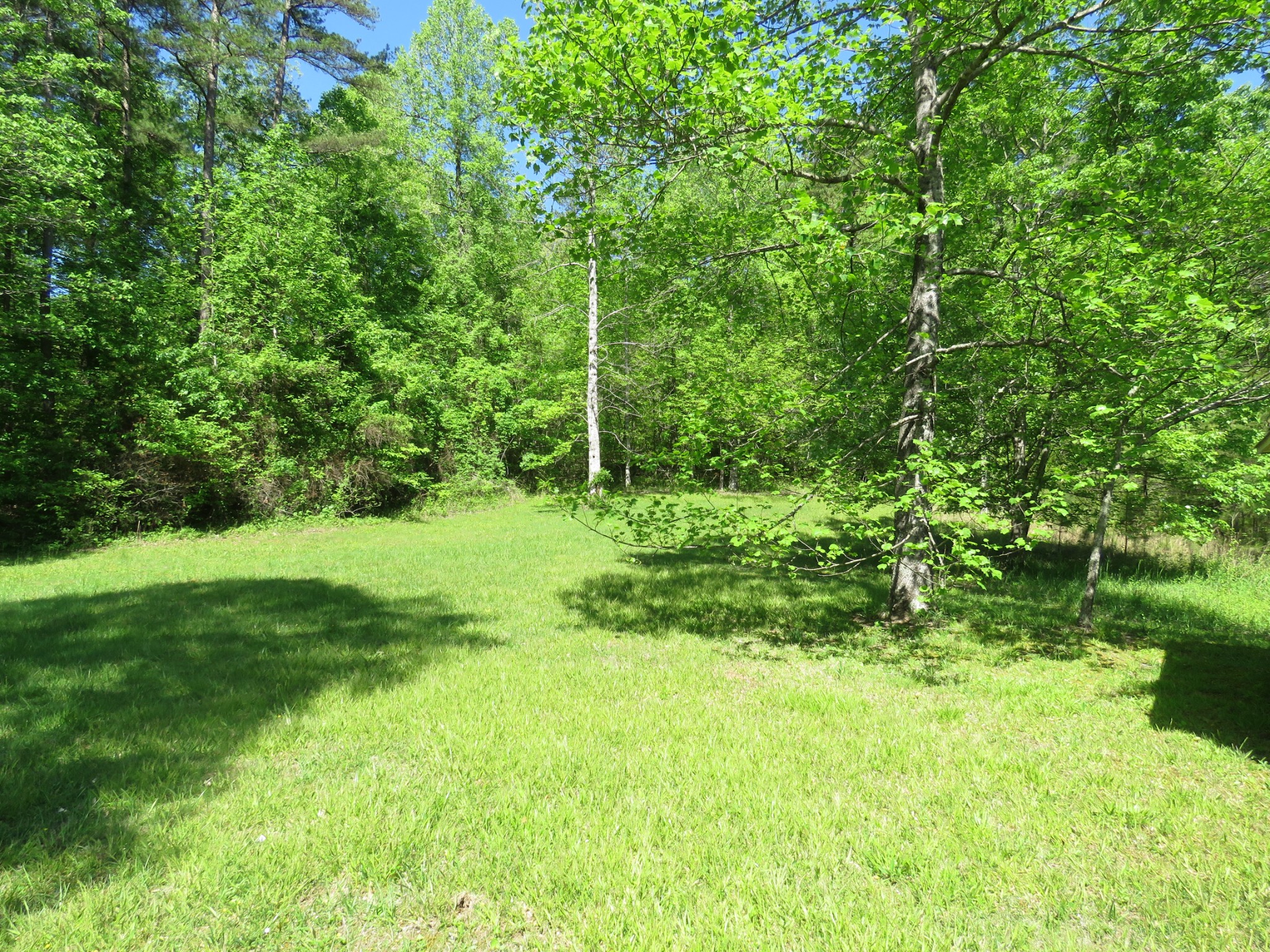 751 Yonside Drive Sparta, TN 38583 - Photo 28 of 36 a view of yard with green space
