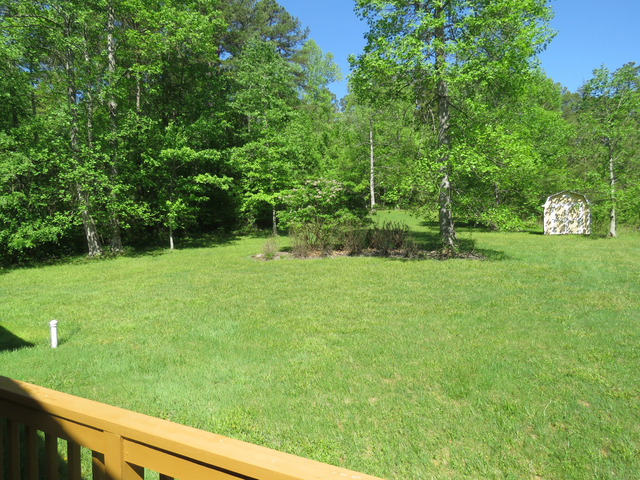 751 Yonside Drive Sparta, TN 38583 - Photo 33 of 36 a view of a garden
