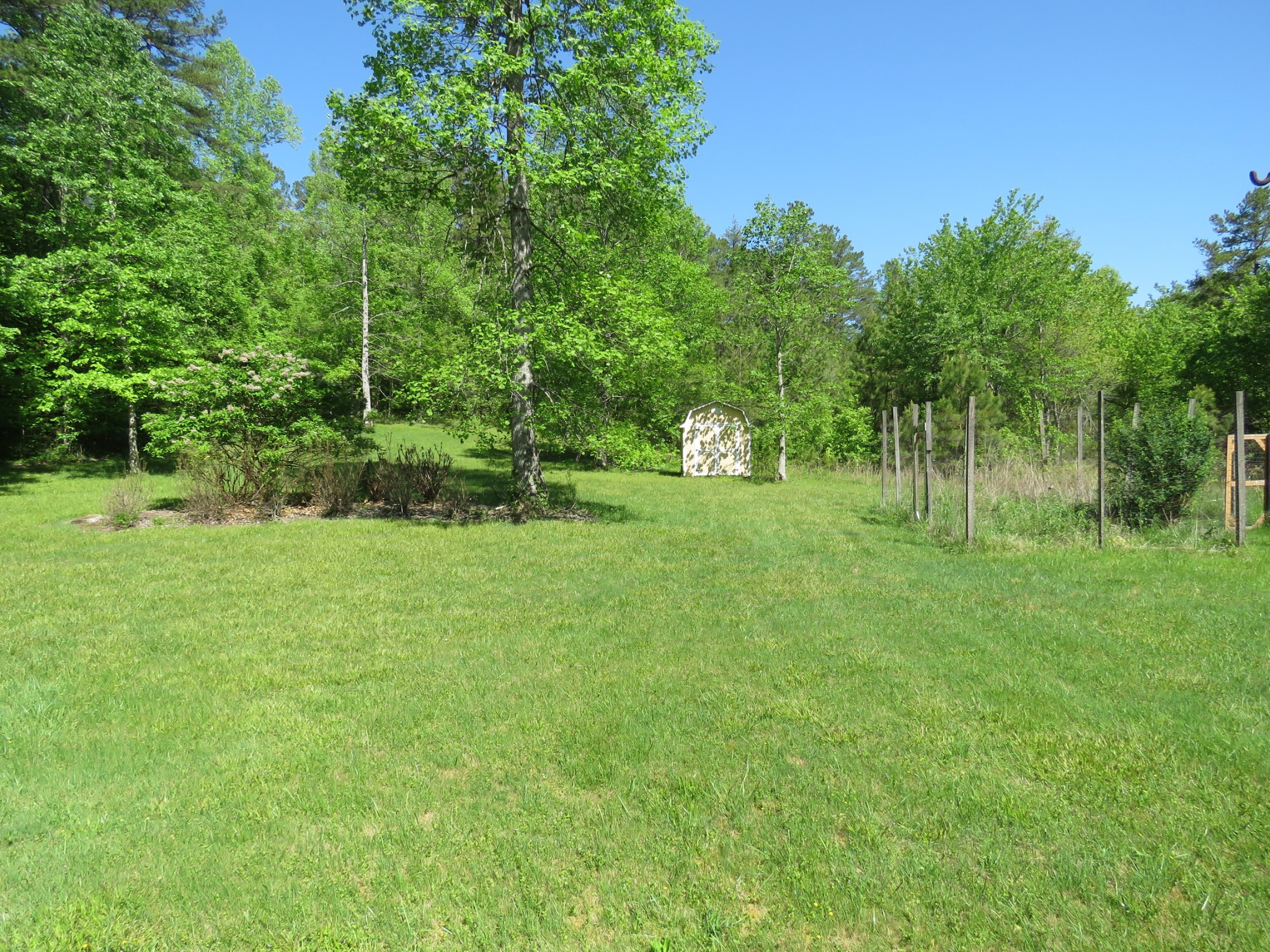 751 Yonside Drive Sparta, TN 38583 - Photo 34 of 36 a view of a park with a tree in the background