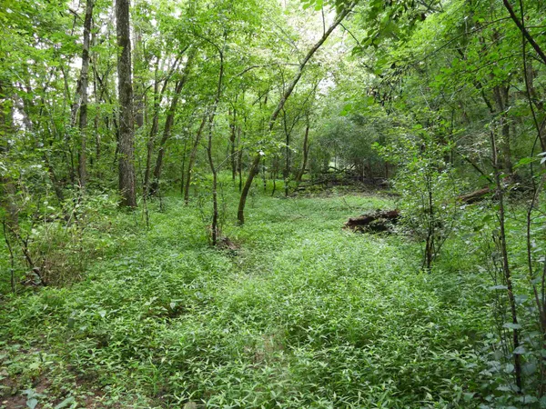 $699,000 | 25.51-ac County Road A, Baraboo, WI 53913