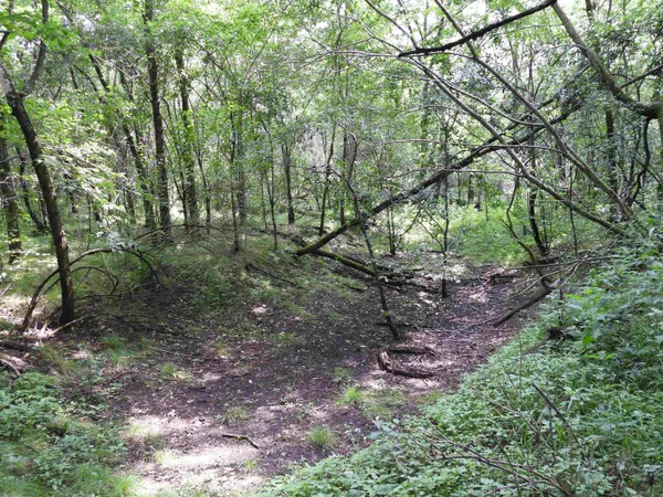 $699,000 | 25.51-ac County Road A, Baraboo, WI 53913