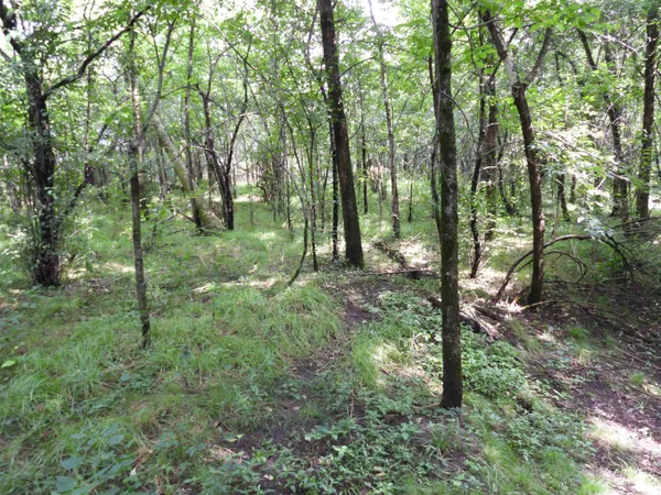 $699,000 | 25.51-ac County Road A, Baraboo, WI 53913