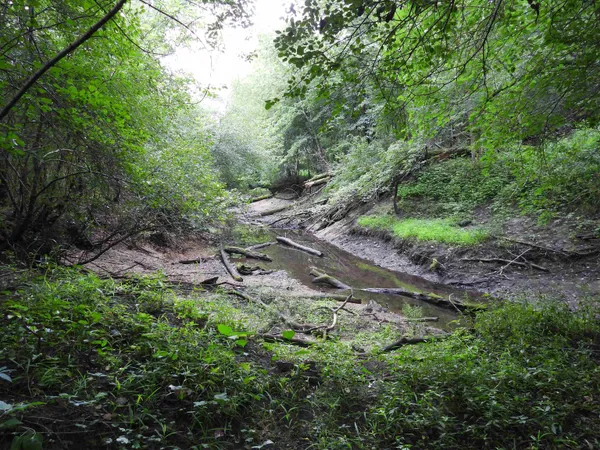 $699,000 | 25.51-ac County Road A, Baraboo, WI 53913