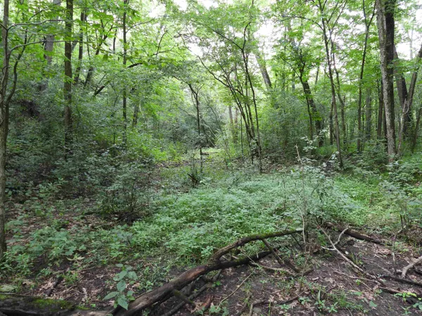 $699,000 | 25.51-ac County Road A, Baraboo, WI 53913