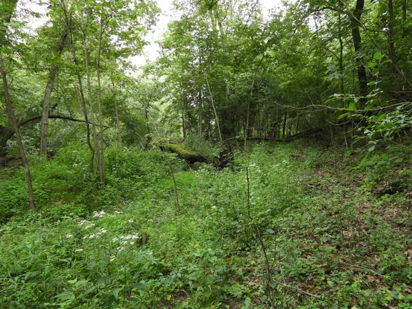 $699,000 | 25.51-ac County Road A, Baraboo, WI 53913