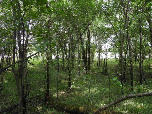 $699,000 | 25.51-ac County Road A, Baraboo, WI 53913