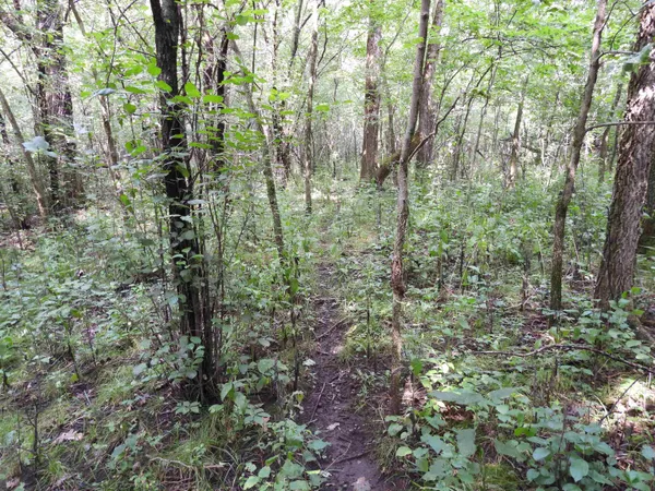 $699,000 | 25.51-ac County Road A, Baraboo, WI 53913