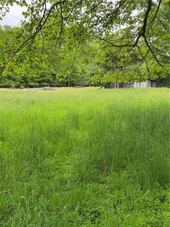 1547 Rishell Road Rossiter, PA 15772 - Photo 2 of 11 a view of a green field with plants