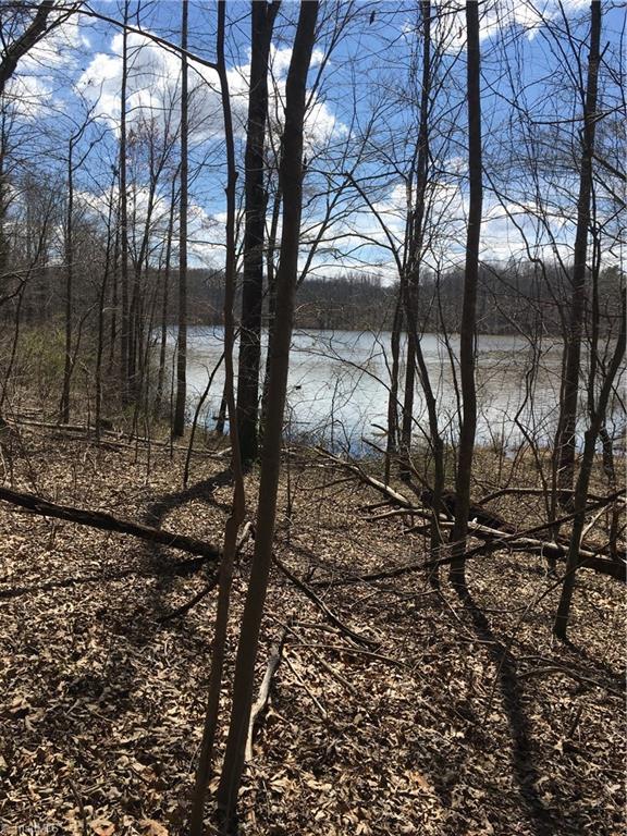 1111 McCoy Road Reidsville, NC 27320 - Photo 28 of 28 Gallery Image 28