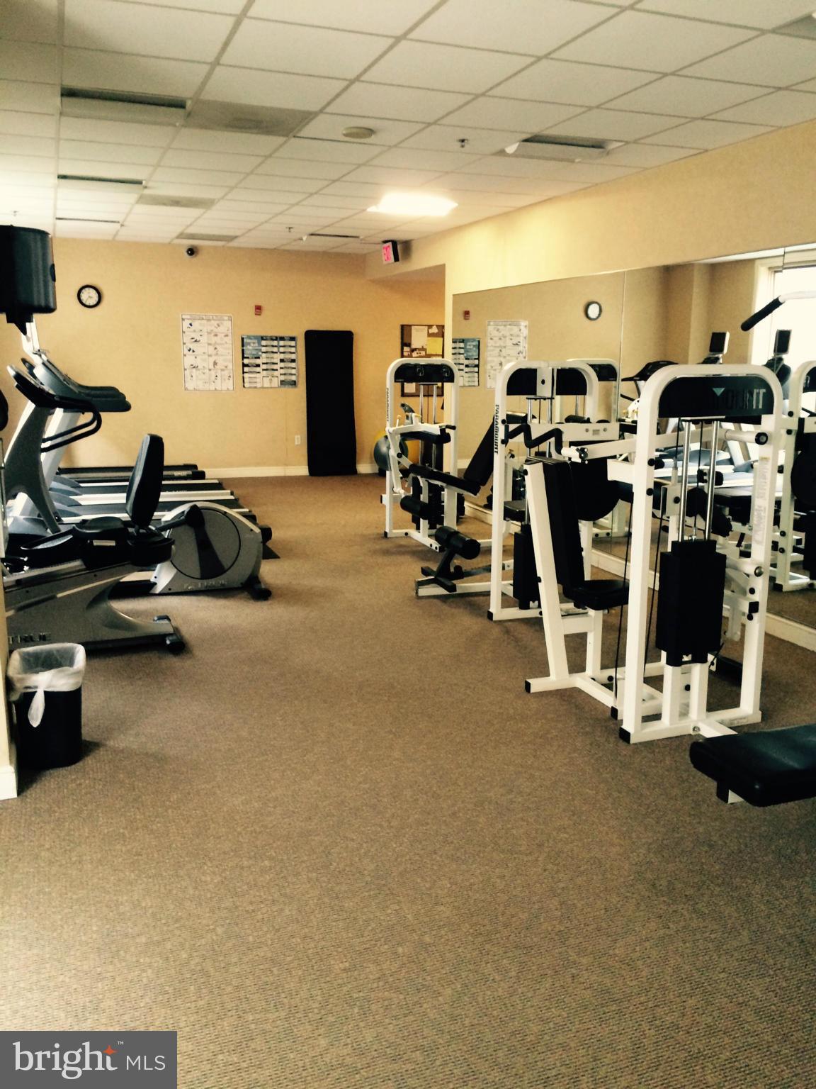 2726 Gallows Road, Unit 1207 Vienna, VA 22180 - Photo 28 of 30 Fitness Center