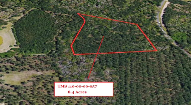 $65,000 | 0 Deliverance Road, Ruffin, SC 29475