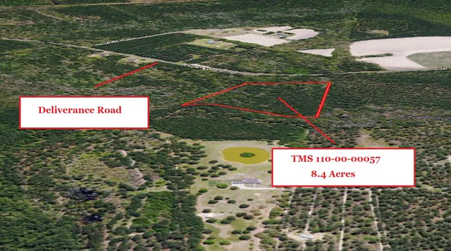 $65,000 | 0 Deliverance Road, Ruffin, SC 29475