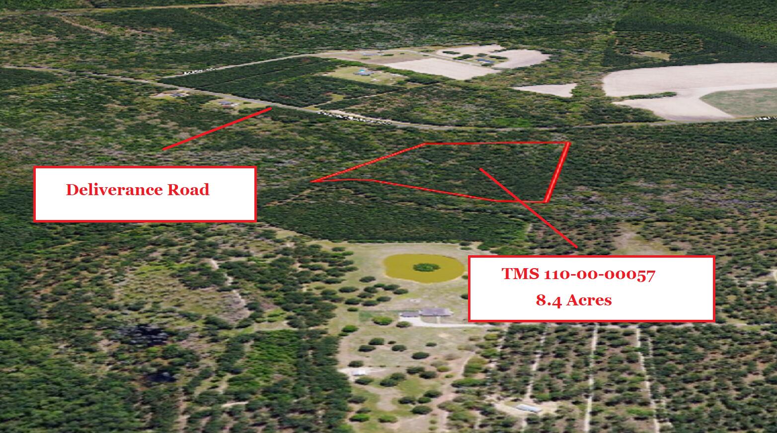 0 Deliverance Road Ruffin, SC 29475 - Photo 3 of 5 cd3014b1-632d-4acd-87f2-0e3cb0dada04