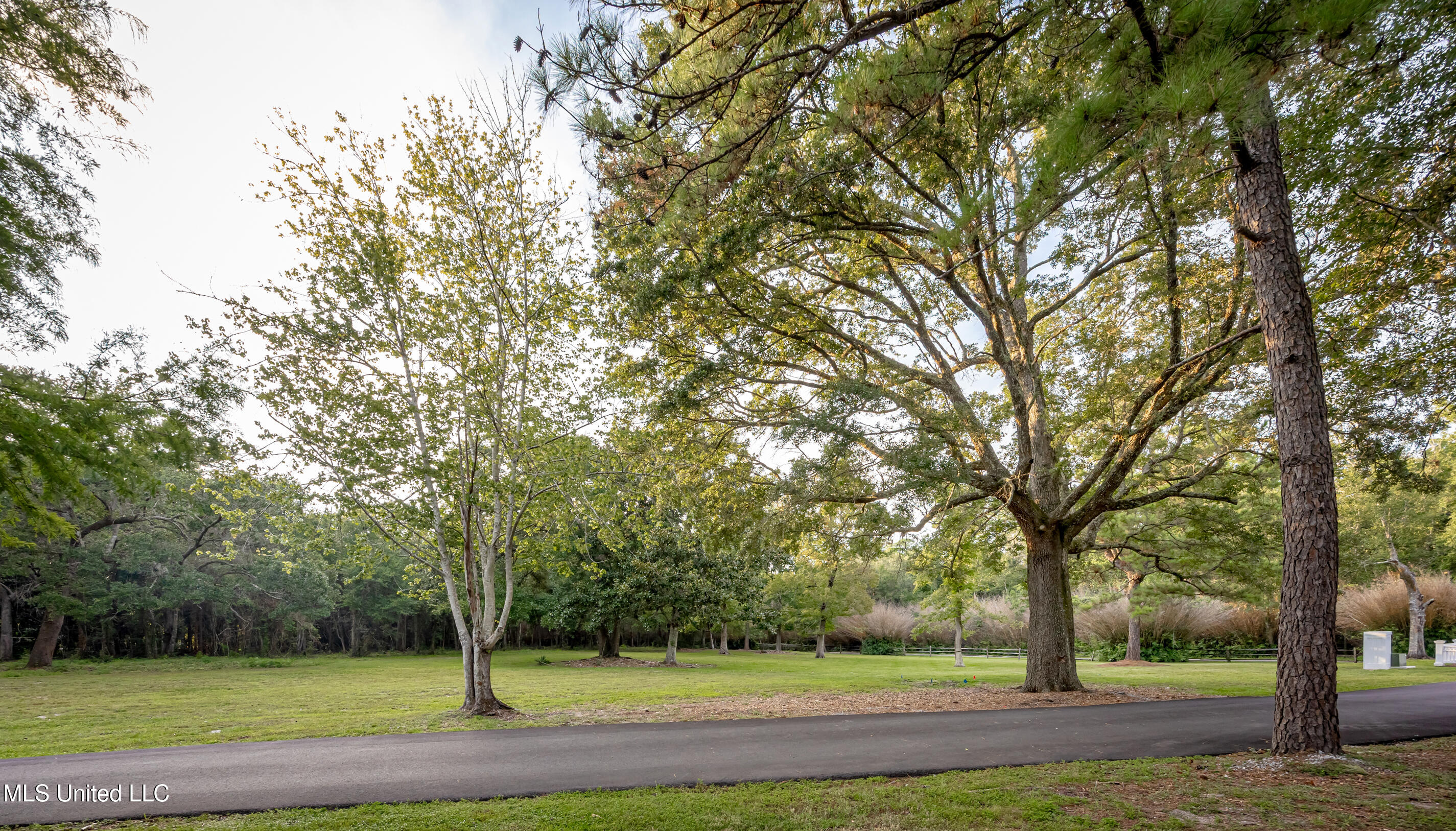 Lot 1 Pointe Aux Chenes Road Ocean Springs, MS 39564 - Photo 6 of 18 5F5A5385-2