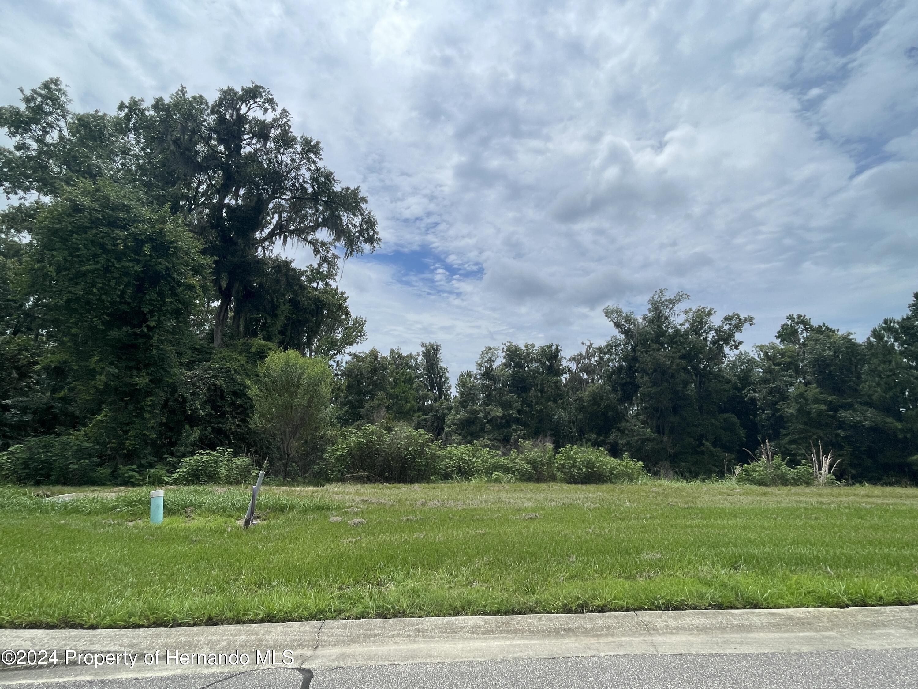 5995 Creek Ridge Road Brooksville, FL 34601 - Photo 2 of 11 a view of a grassy field