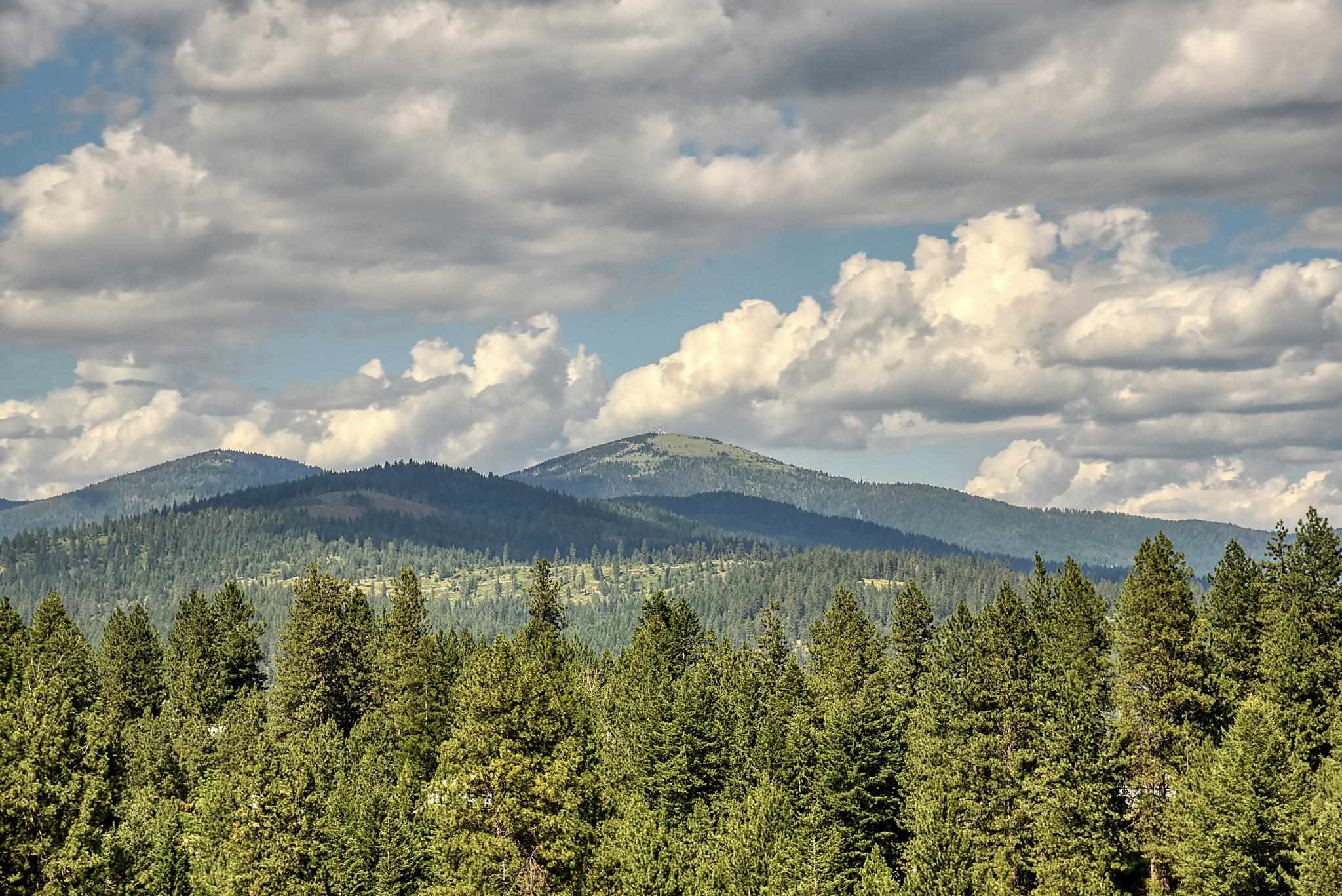 11821 East Day Mt Spokane Road Mead, WA 99021 - Photo 30 of 35