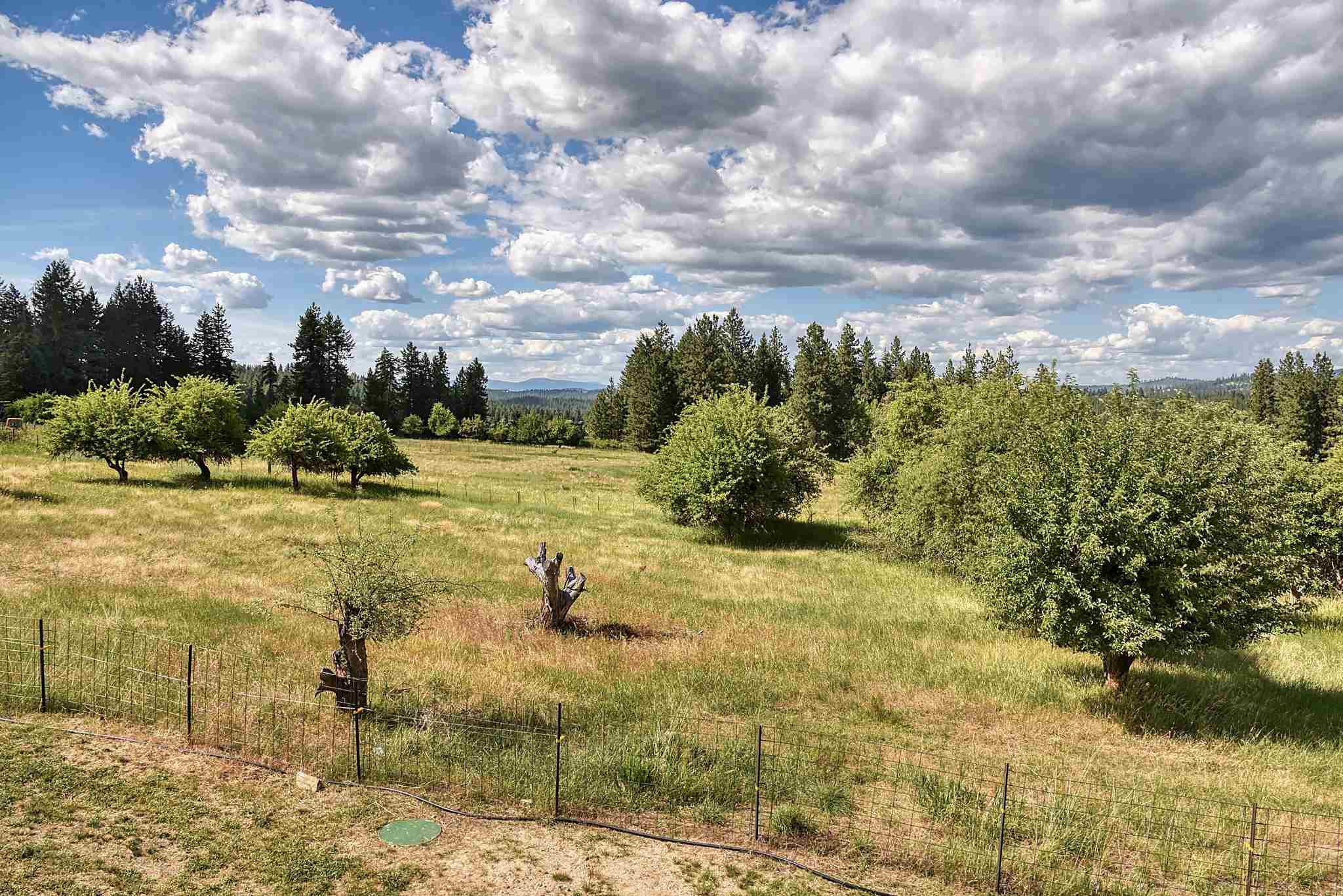 11821 East Day Mt Spokane Road Mead, WA 99021 - Photo 33 of 35