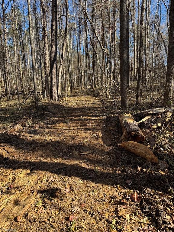 Tract B Robbins Country Road Trinity, NC 27370 - Photo 8 of 21