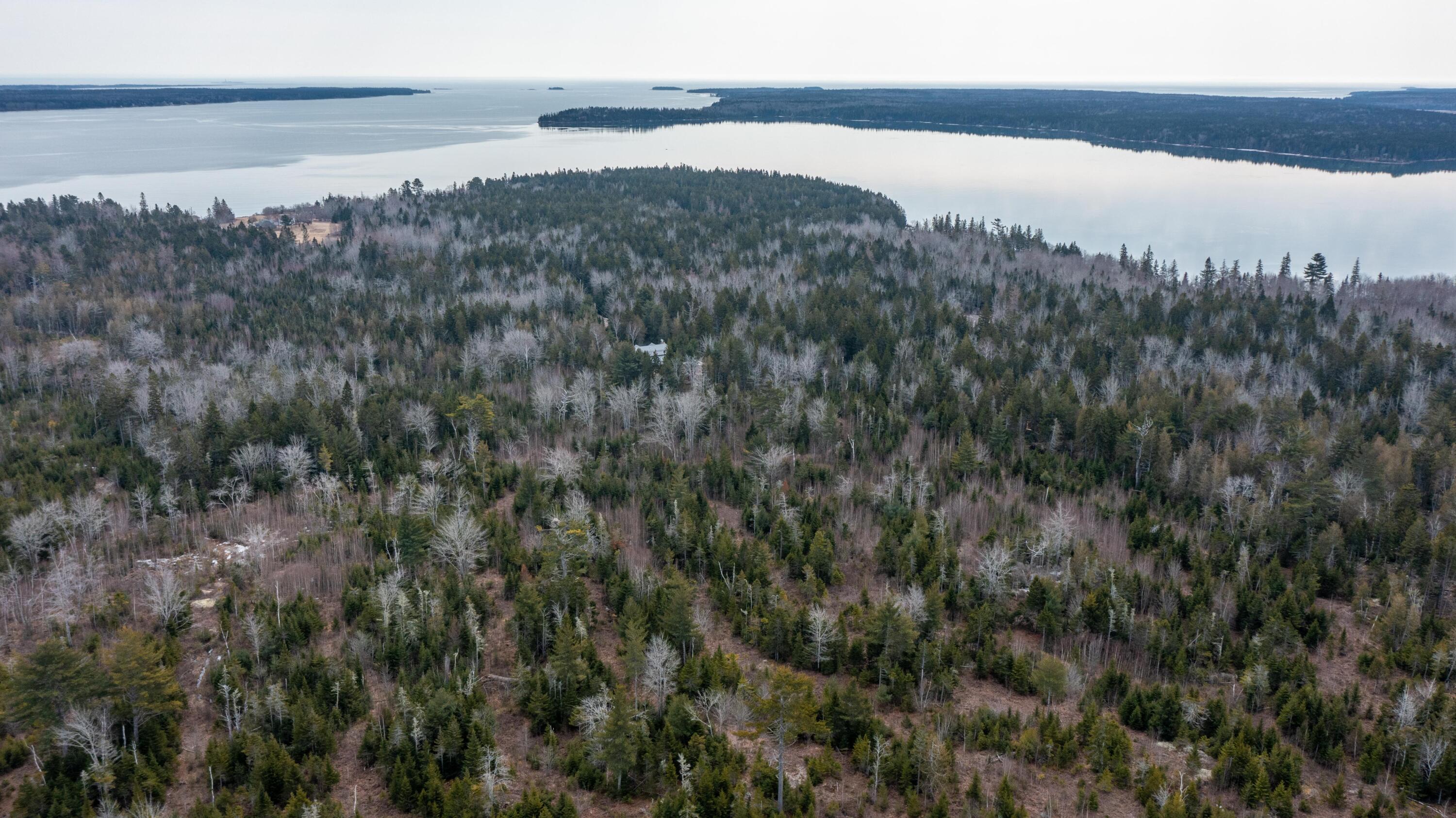 627 Gouldsboro Point Road Gouldsboro, ME 04607 - Photo 63 of 83 627 Gouldsboro Point Rd. (41 of 69)