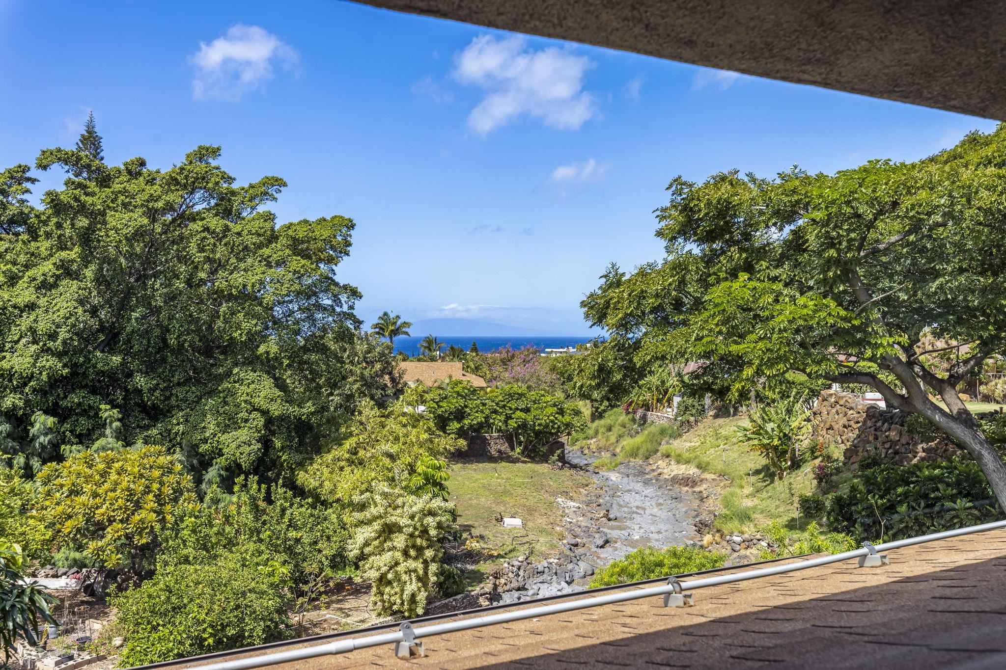 2670 Kanakanui Road Kihei, HI 96753 - Photo 22 of 41 a view of a yard