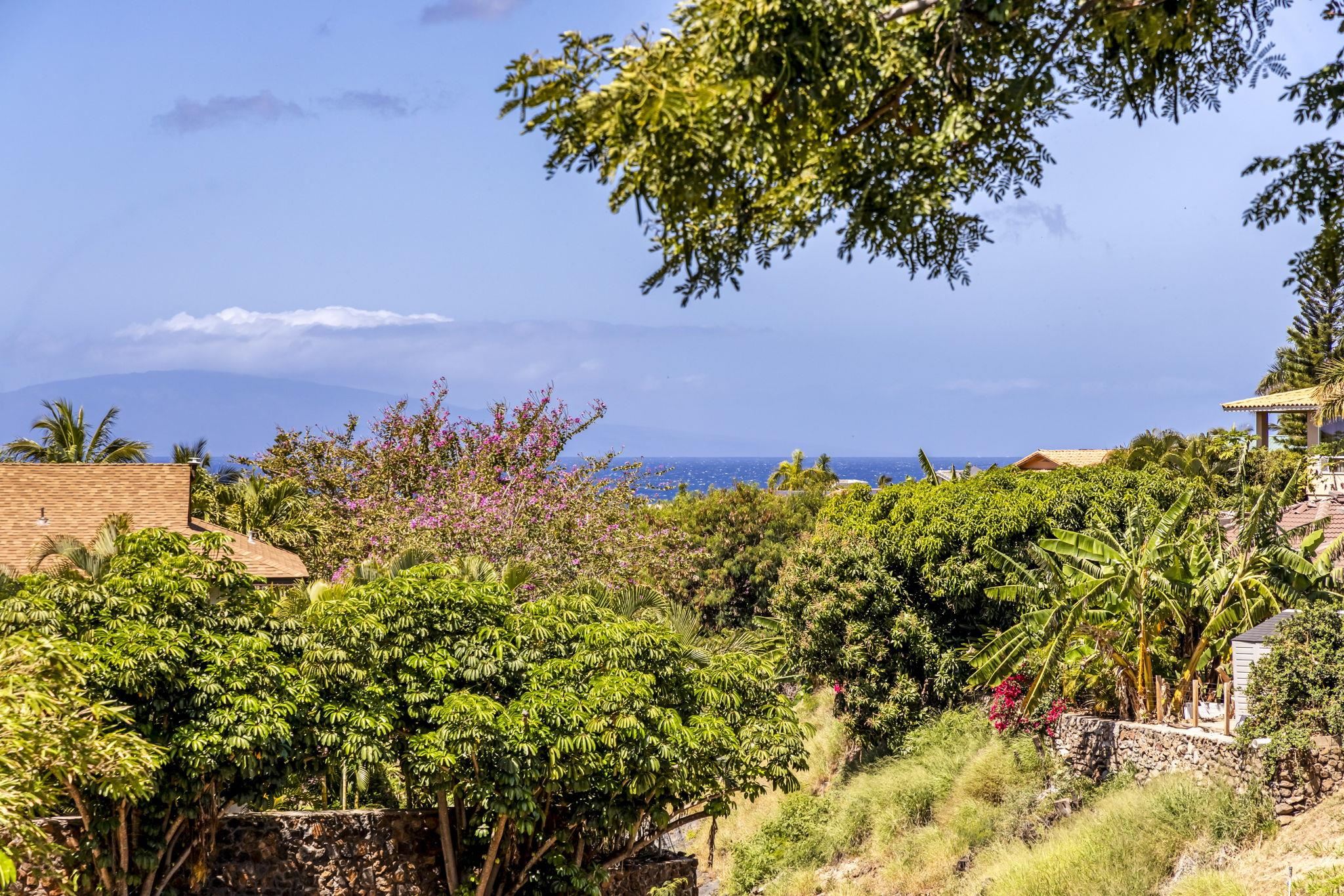 2670 Kanakanui Road Kihei, HI 96753 - Photo 24 of 41 a view of a lake