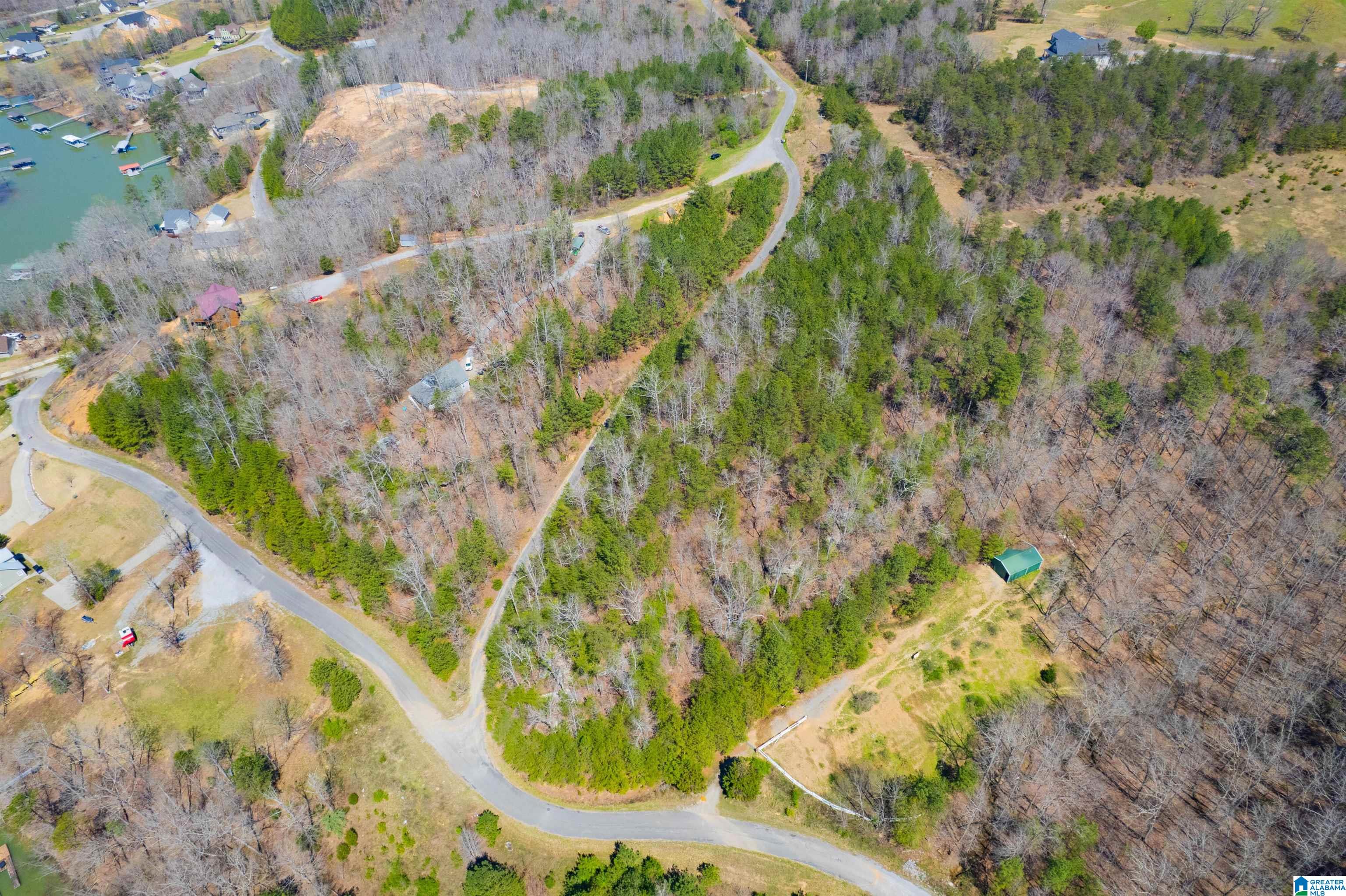 0 Lakeview Lane Houston, AL 35572 - Photo 5 of 15