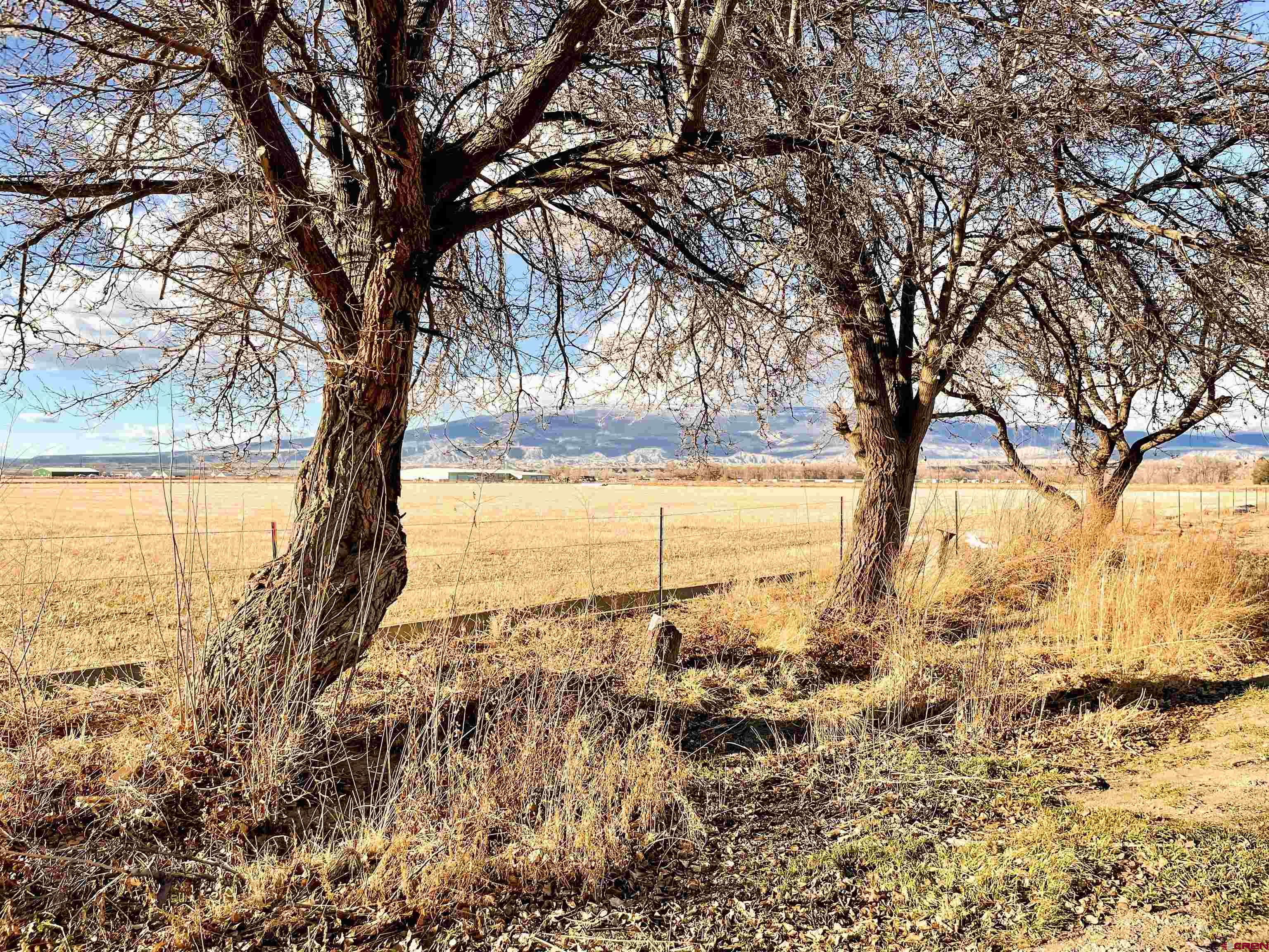 19643 H Road Delta, CO 81416 - Photo 31 of 35